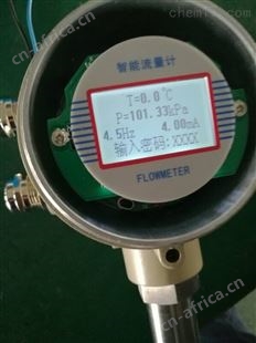 涡轮流量计柴油