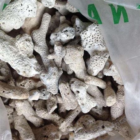 乾富矿产供应珊瑚石水族过滤材料珊瑚石