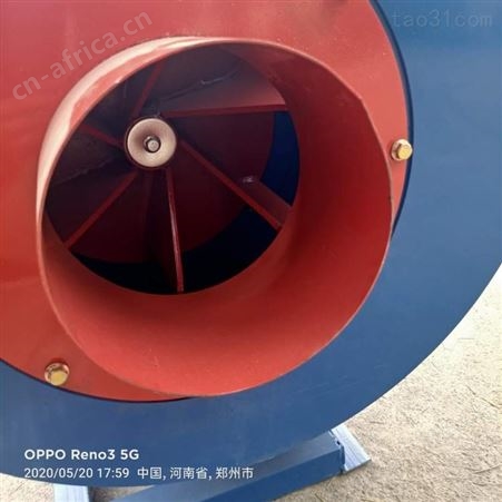 金辉 新一代泡沫粉碎机 大块泡沫破碎机无粉尘无噪音