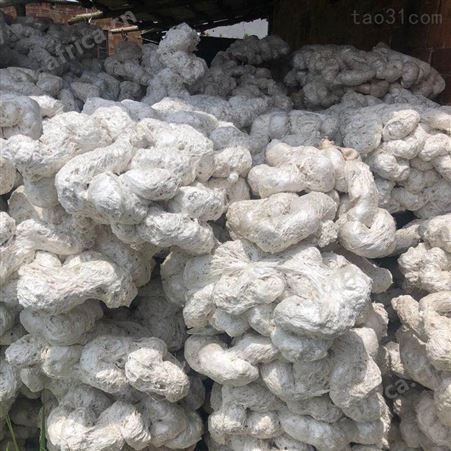 立式轻型泡沫出坨机 车载泡沫造块机 大闸蟹包装箱熔化机 金辉直营