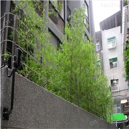 铁岭 带电刀片刺绳  直线通电刀片防刺绳带电防盗刀片刺绳刀片刺绳现货销售