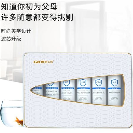 GKN格卡诺超滤机厨房自来水净水器超滤净水机过滤器六级家用