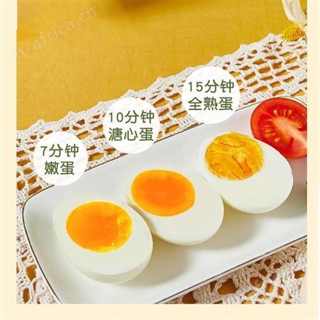志高 煮蛋器家用双层小蒸锅 快速加热防干烧易清洗-JHZDQ001