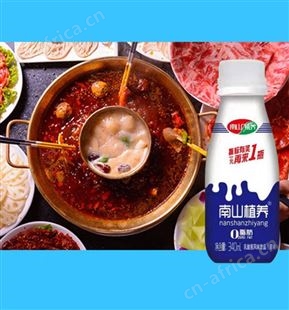 畅养多乳酸菌饮品原味340ml整箱销售商超渠道