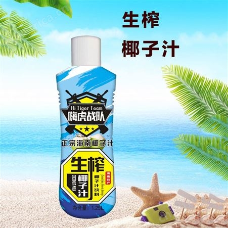 生榨椰子汁1.25L乳味果汁饮料商超渠道夏季饮品