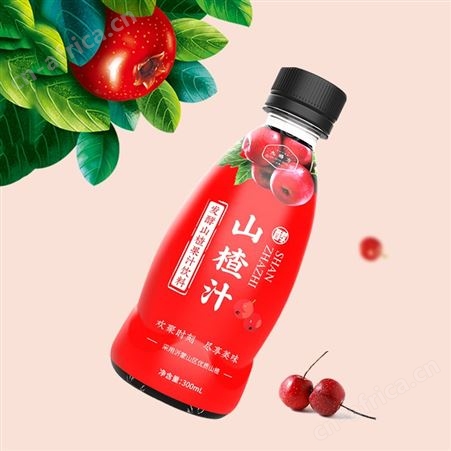 发酵山楂果汁饮料300ml*15瓶整箱销售夏季果味饮品