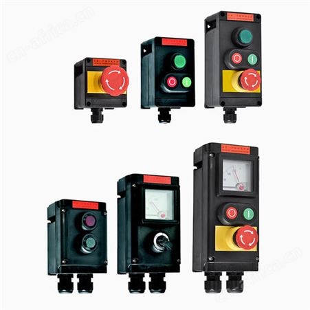 CZ1240全塑防爆控制器