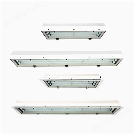 （D45-D52）CZ1371-1372防爆（应急）T8 LED灯