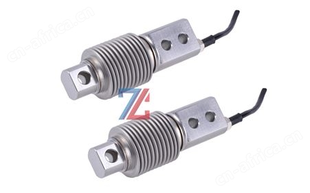 ZCBW-1 （0--300 Kg）