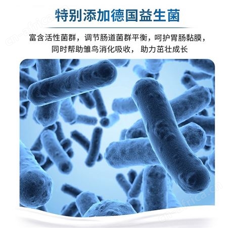 开元鹦鹉奶粉幼鸟面食虎皮玄凤手养雏鸟粮营养粉桶装专用鸟食
