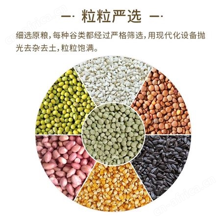 开元牌全价赛鸽粮成幼鸽通用鸽子粮鸟粮亮羽混合谷物鸽食