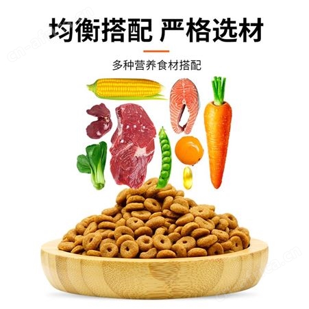 安肯三文鱼味全期猫粮20斤宠物橘猫流浪猫肠胃舒营养成猫幼猫主粮