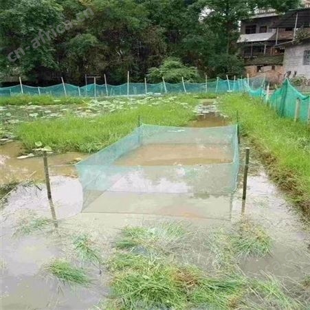 定做养鱼网箱 定做有结网养殖网箱 福利 海参鲍鱼养殖网箱