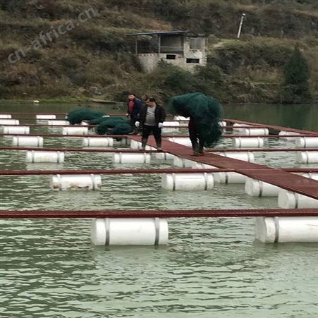 福利 出售尼龙网箱 定做尼龙拉网网箱 10目加厚养殖网箱