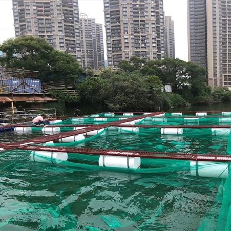尼龙养鱼网箱 定做有结网养殖网箱 福利 水产渔业育苗网箱