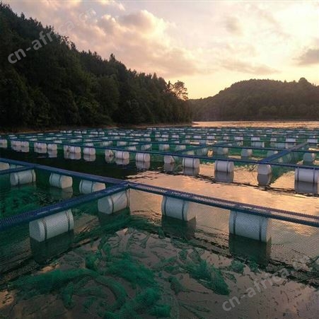 泥鳅黄鳝的网箱存鱼 有结网箱抬网不伤鱼 福利 水产渔业育苗网箱