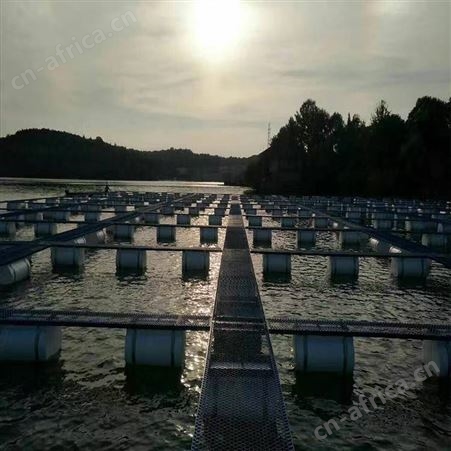 泥鳅黄鳝的网箱存鱼 水蛭养殖网箱 福利 水产渔业育苗网箱