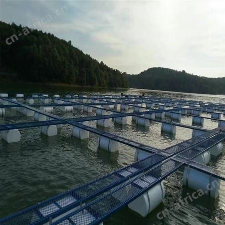 出售尼龙网箱 养鱼龙虾螃蟹网箱 福利 鱼苗养殖网箱