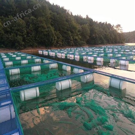网箱养殖网 高密度水蛭网箱 福利 10目加厚养殖网箱