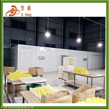 箱式玫瑰花烘干设备 环保节能玫瑰脱水干燥箱