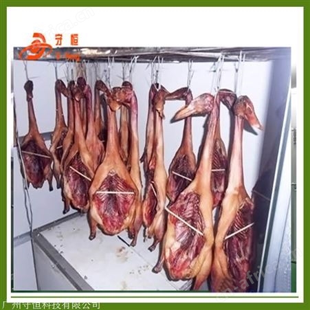 广东中山腊肠烘烤房 腊肉腊肠除湿干燥箱 东莞腊肠烘干机