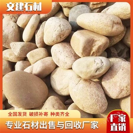 公园铺路石 造景用天然彩色鹅卵石 鱼缸垫底河滩石 文建石材