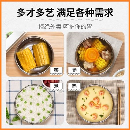 美国nerf单层电热饭盒加热蒸煮便当便携可插电带饭神器