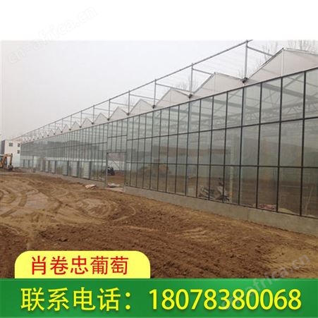 全州连栋温室大棚安装可用于花卉