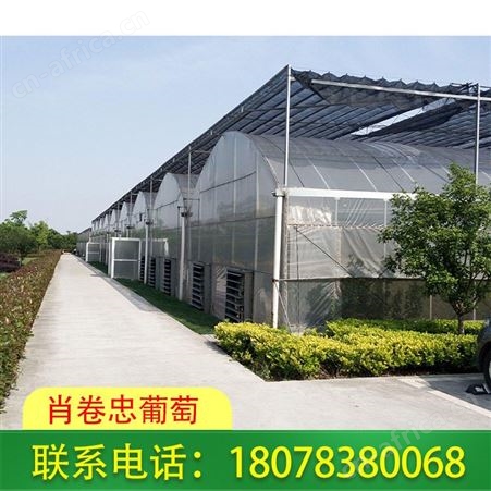 广西桂林温室大棚厂家积累多年制作经验