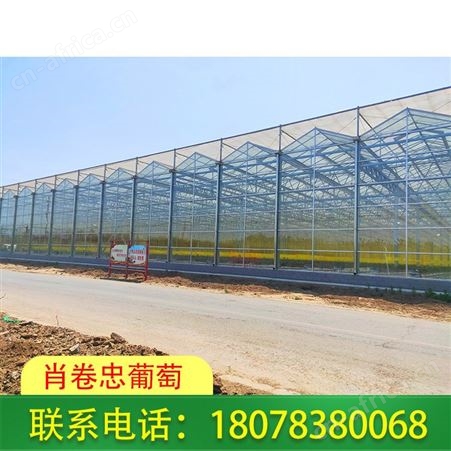 广西桂林温室大棚厂家积累多年制作经验