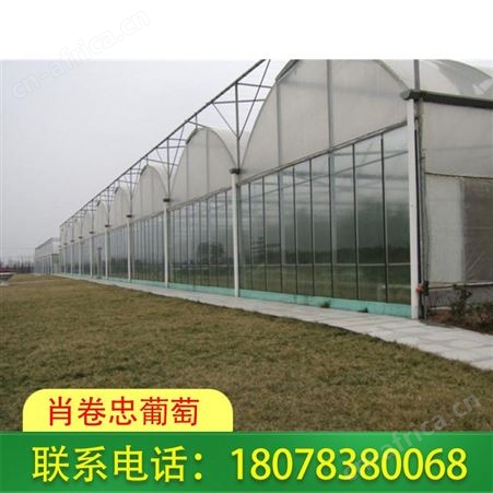 广西桂林温室大棚厂家积累多年制作经验