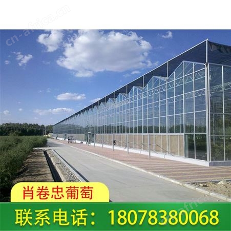 广西桂林温室大棚厂家积累多年制作经验