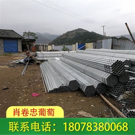 广西钢管独立大棚-种植草莓需安装棚架哦！