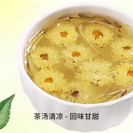 道养智厂家直供胎菊花茶甄选罐装花草茶代用茶