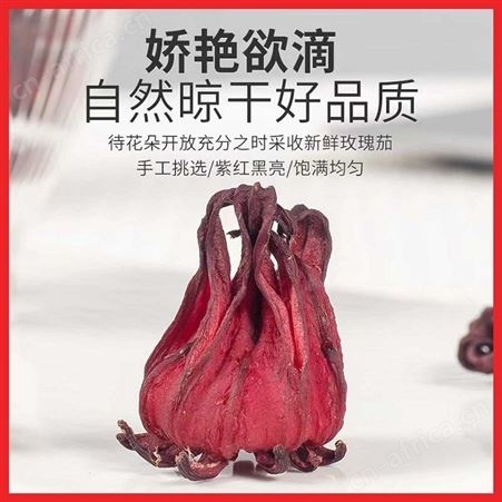 道养智洛神花女神茶罐装玫瑰茄每罐50克升级装