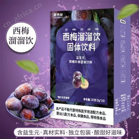 道养智西梅汁植物固体饮料冲饮巴西莓粉果蔬粉批发一件代发