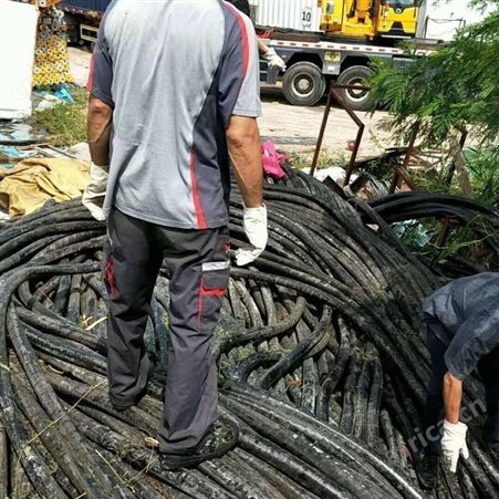 宁波进口电缆线回收提供报价