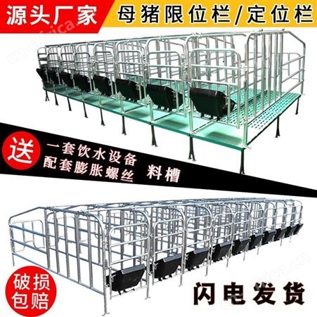 带粪板母猪限位栏 养猪用复合漏粪板 产床保育半限位栏母猪定位栏