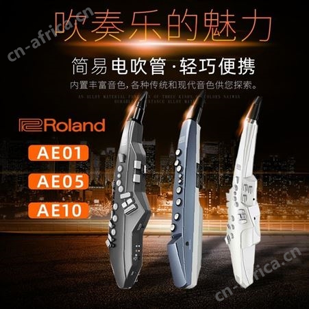 ROLAND罗兰ae30电吹管乐器大全ae10电子吹管电萨克斯ae01初学者05