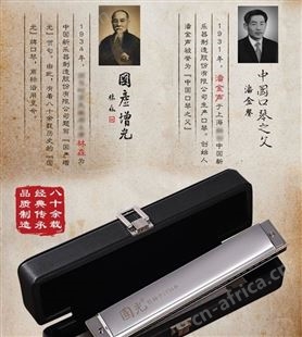 国光铜格版口琴24孔复音C调高级初学者学生成人男女演奏级