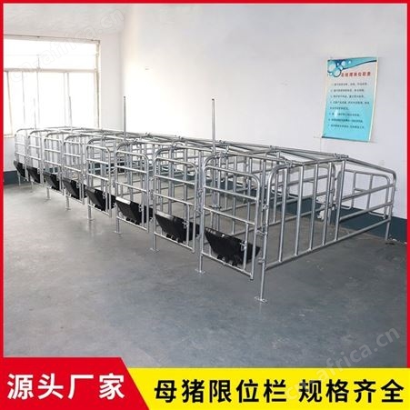 带粪板母猪限位栏 养猪用复合漏粪板 产床保育半限位栏母猪定位栏