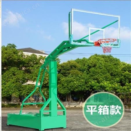 华丽体育室内外可移动篮球框青少年落地式篮球架成人比赛标准篮球架