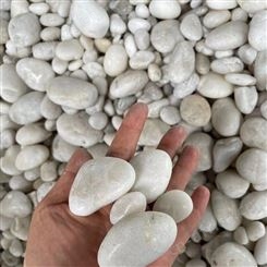 园林铺路鹅卵石 乌鲁木齐白色鹅卵石生产厂家 诺诺鹅卵石滤料
