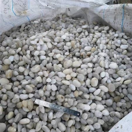 园林铺路鹅卵石 乌鲁木齐白色鹅卵石生产厂家 诺诺鹅卵石滤料