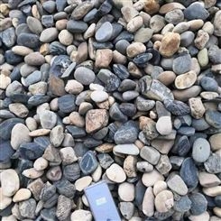 黑色砾石卵石 水磨石白碎石 枯山水园林白石子