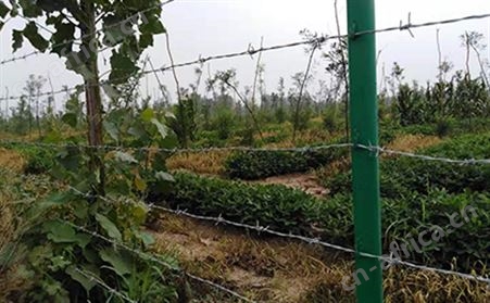 刺线刺丝围栏