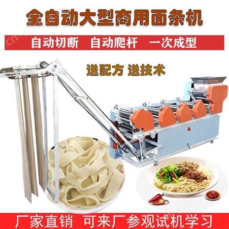 家庭式面条机 全自助压面条机 大型面条机 溢盈机械