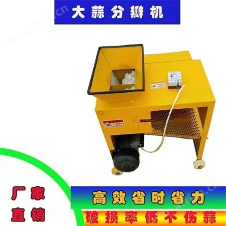 蒜种分瓣机 小型掰蒜机不伤蒜 小型电动蒜种分瓣机 家用型剥蒜机
