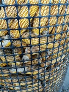 圈玉米网
