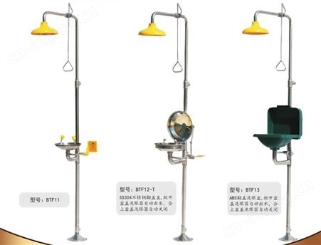 BTF11复合式洗眼器 SS304不锈钢紧急冲淋洗眼器 标准复合式洗眼器